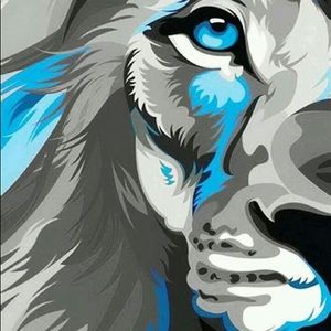 Meet your Posher, Kai